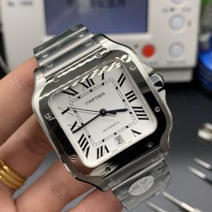 Alternative view of Santos